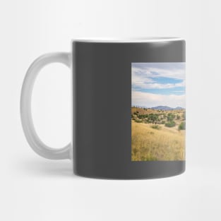 Santa Rita Mountains, Arizona Mug